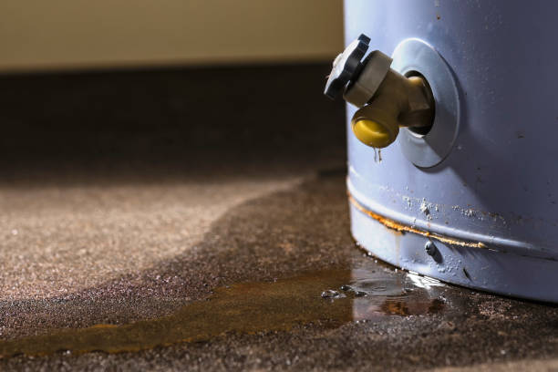 Best Water damage contractors near me  in Brook Highland, AL