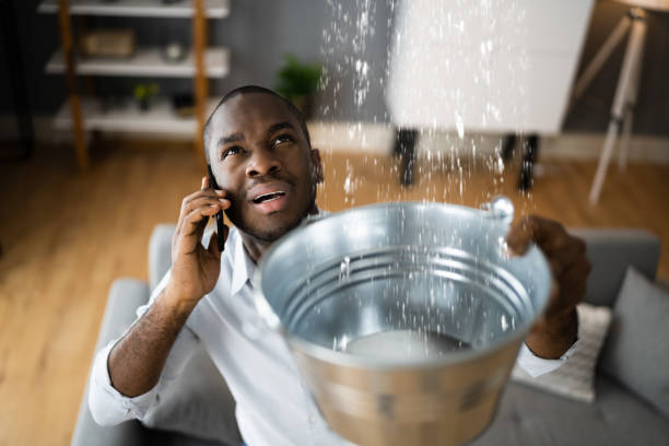 Best Local water damage restoration  in Brook Highland, AL