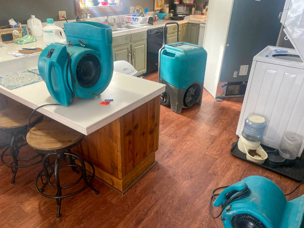 Brook Highland, AL Water damage restoration Pros
