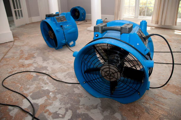 Best Fire Damage Restoration  in Brook Highland, AL