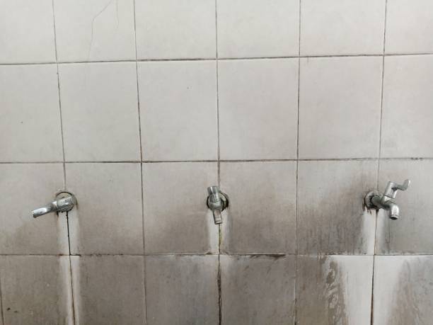 Best Basement water damage restoration  in Brook Highland, AL
