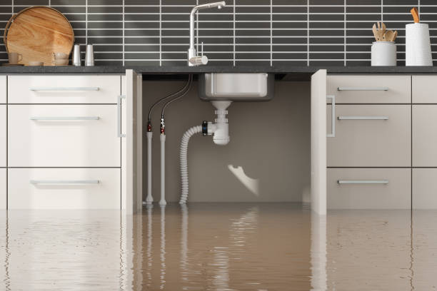 Best 24-hour water damage restoration  in Brook Highland, AL