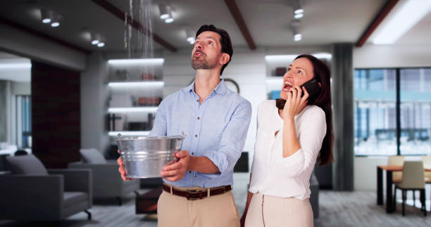 Best Commercial water damage restoration  in Brook Highland, AL